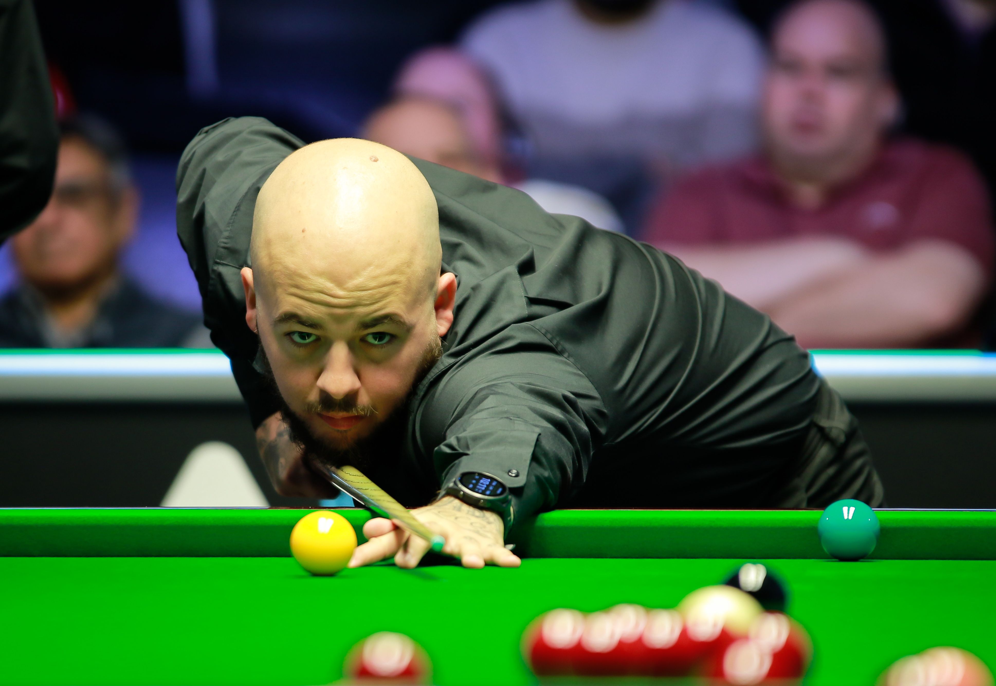 热情的观众 热情的观众